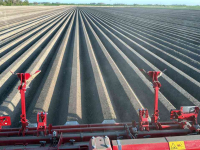 Fraise buteuse Grimme GF400 rijenfrees | volleveld frees | hakenfrees
