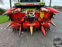 Maisbec Kemper 345