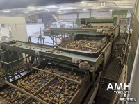 Trieuse Schouten Sorteerlijn Sorting Line