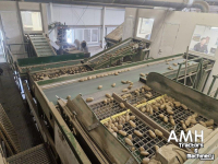 Trieuse Schouten Sorteerlijn  Schouten sorteerlijn, Schouten sorting line, Schouten Sortierlinie