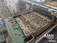 Trieuse Schouten Sorteerlijn  Schouten sorteerlijn, Schouten sorting line, Schouten Sortierlinie