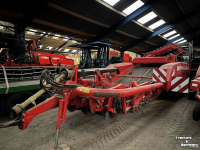 Arracheuse de pommes de terre Grimme GT 170 | wielaandrijving |vario axiaal | graafmat