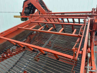 Arracheuse d‘oignons Amac F2 uienlader