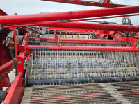 Arracheuse de pommes de terre Grimme GT170S