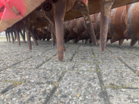 Herse rotative Lely Tulip roterra kopeg met tulip polymat
