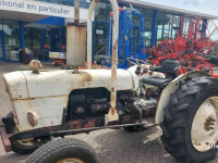 Tracteurs anciens David Brown Oldtimer Tractor