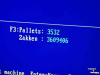 Palettiseur Verbruggen PM-VE-500 nr. 7, palletiseerder, palletiseermachine