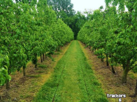 Autres matériel et accessoires de culture fruitière et de verger McConnel FRUITAERATOR Fruitteelt Cultivator/ Obst- und Weinbau Tiefenlockerer