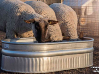 Auge à l‘énergie solaire Suevia Stocktank