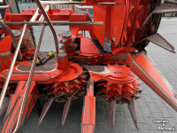 Maisbec Kemper 345 champion