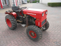 Tracteur pour vignes et vergers Napoleone 4000