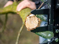 Faucheuse pour haies Düvelsdorf Düvelsdorf Takkenschaar, Snoeischaar, Takkenzaag Frontlader