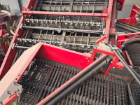Arracheuse de pommes de terre Grimme se 150-60 xxl