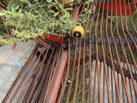 Arracheuse de pommes de terre Grimme DL 1700