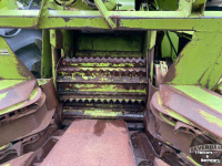 Ensileuse automotrice Claas Jaguar 80 SF