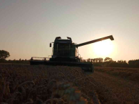 Moissonneuse batteuse Fendt 6335C