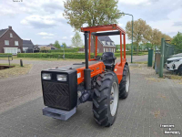 Tracteur pour vignes et vergers Holder A60