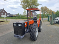 Tracteur pour vignes et vergers Holder a60