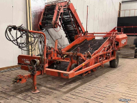 Arracheuse d‘oignons Amac F2 uienlader