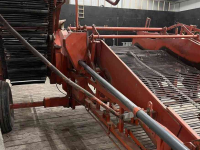 Arracheuse d‘oignons Amac F2 uienlader