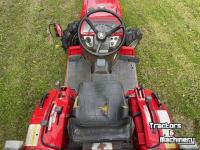 Tracteur pour horticulture Massey Ferguson tuintrekker 1210