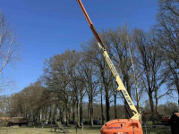 Elévateur à nacelle JLG JLG 460SJ Hoogwerker