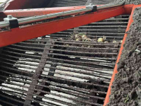 Arracheuse d‘oignons Holaras UM150-F - UR-135-DB Uienrooiset oogstmachines