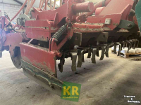Herse rotative Kverneland NGS 301 Rotoreg / Kopeg / Rotorkopeg